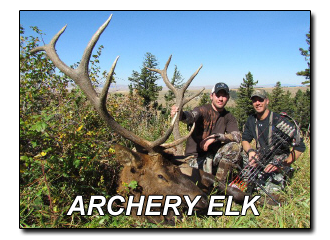 Archery Elk Hunts