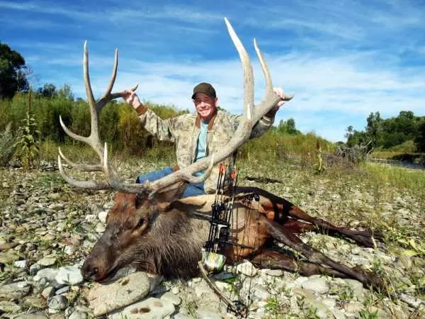Elk Hunting in 2013