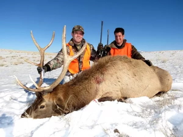 2013 Elk Hunting Montana 3