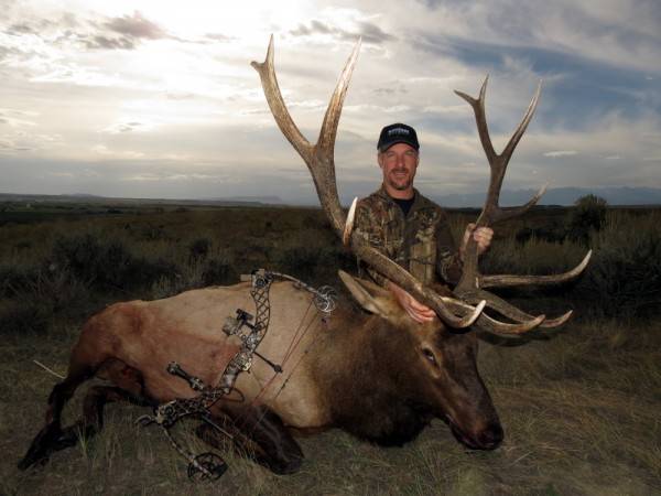 Elk Hunting articles