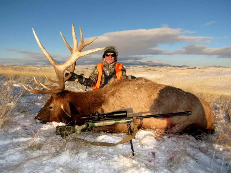 Montana Elk Hunting