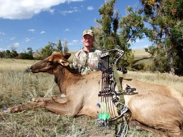 Montana Elk Hunting Trips 0