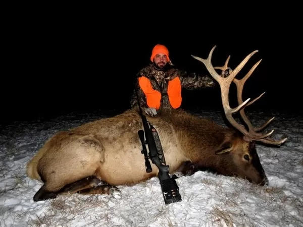 Montana Elk Hunting Trips 8