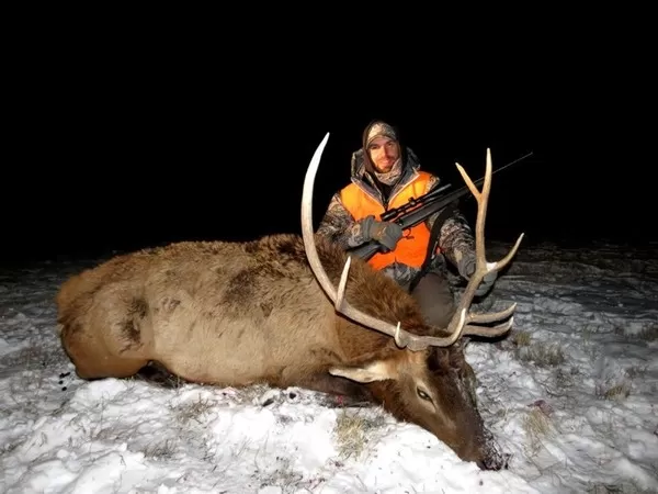 Montana Elk Hunting Trips 9