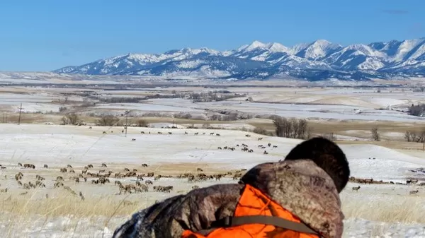 Montana Elk Hunting Trips 11