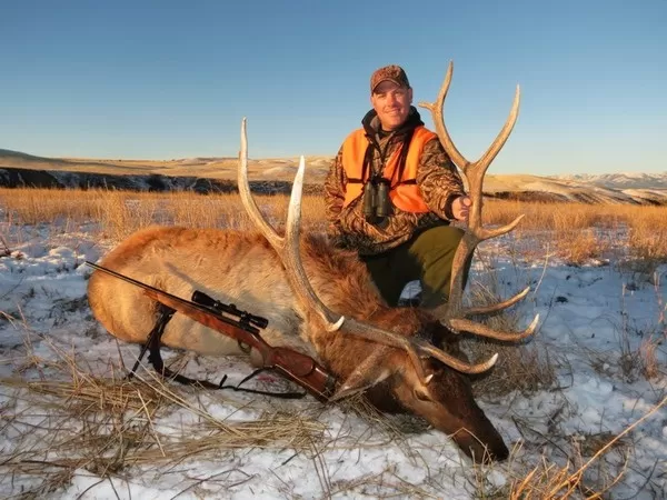 Montana Elk Hunting Trips 13