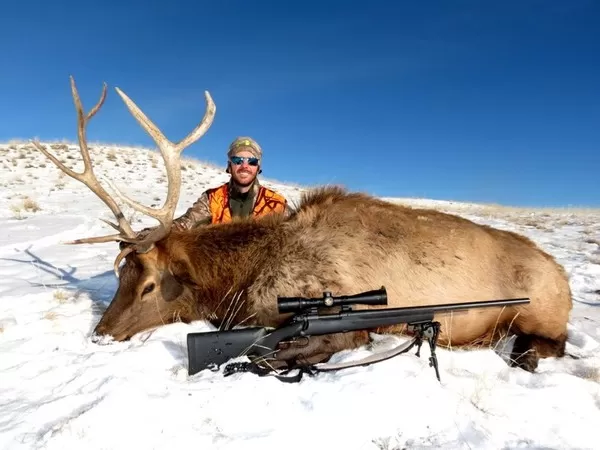 Montana Elk Hunting Trips 14