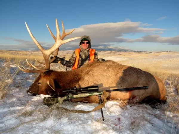 Montana Elk Hunting Trips 17