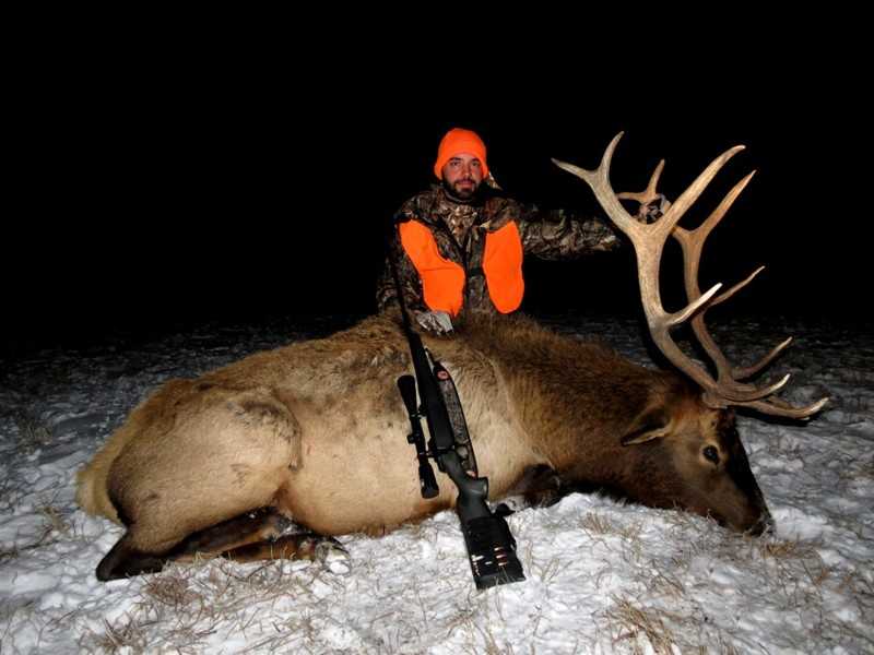 Montana elk hunts