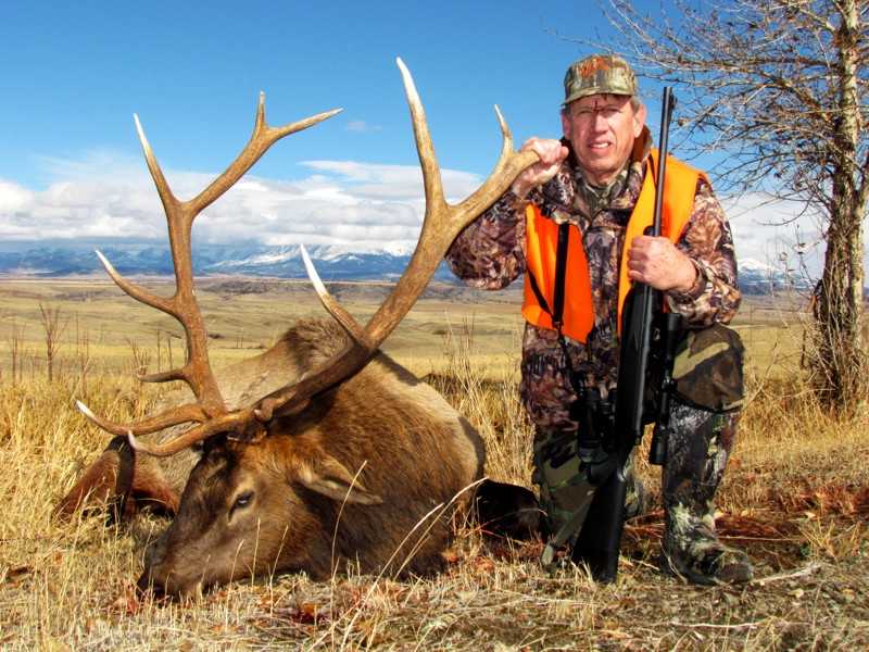 Montana Elk Hunts