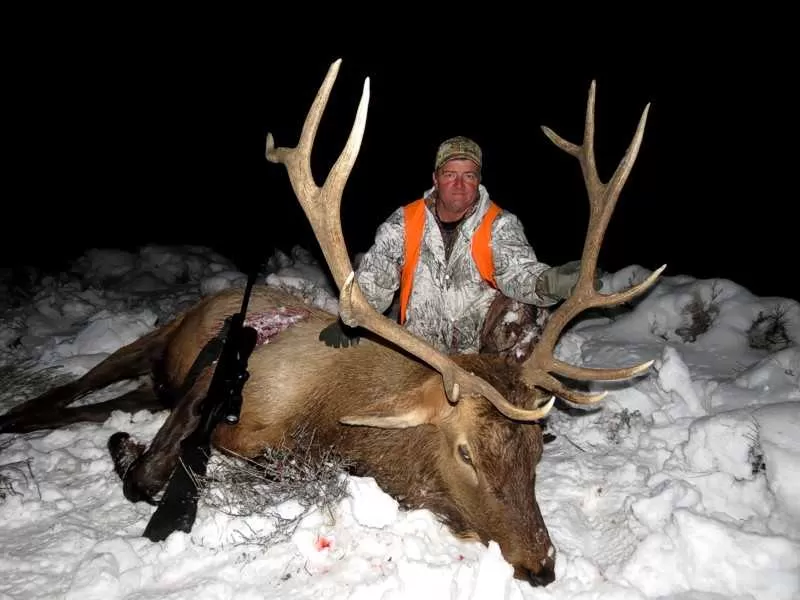 Montana elk hunts