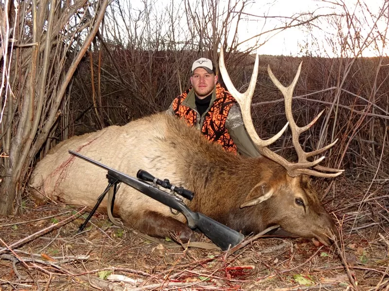 2015 Montana Elk Hunts 3