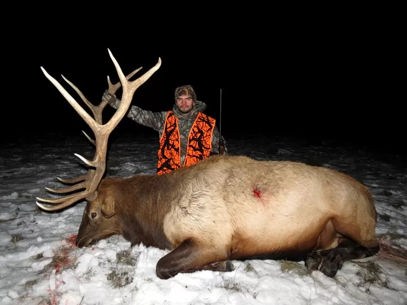 2015 Montana Elk Hunts 7