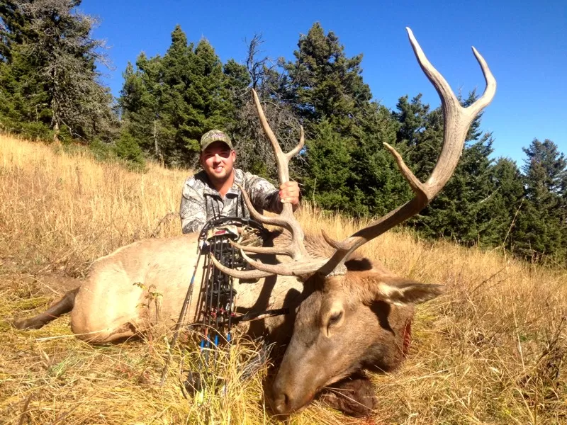 2015 Montana Elk Hunts 9