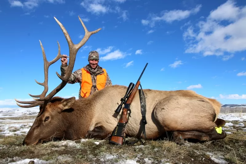 2015 Montana Elk Hunts 10