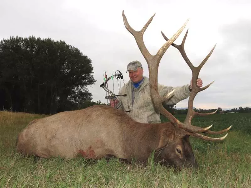 Montana archery elk hunts