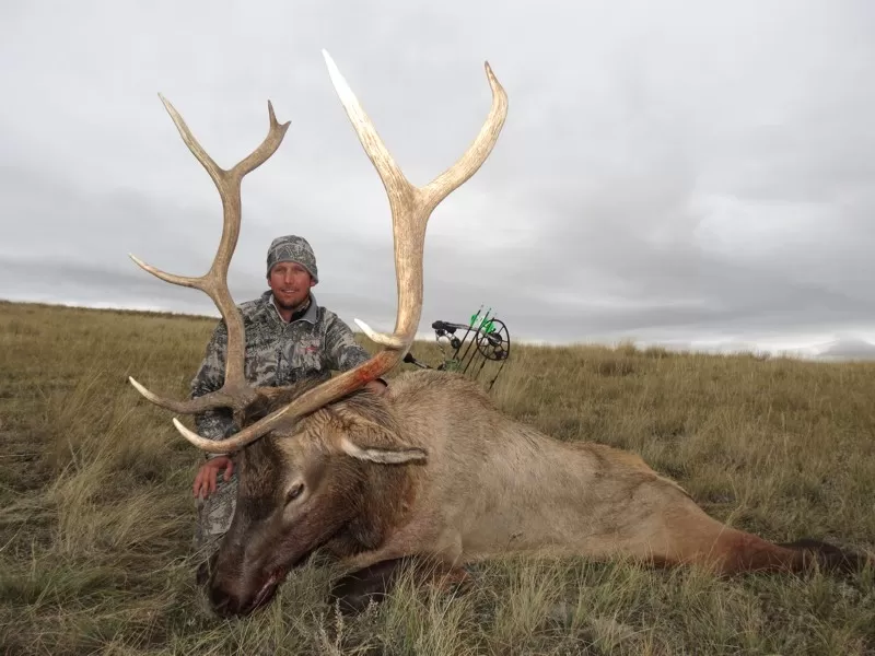 Montana elk hunts