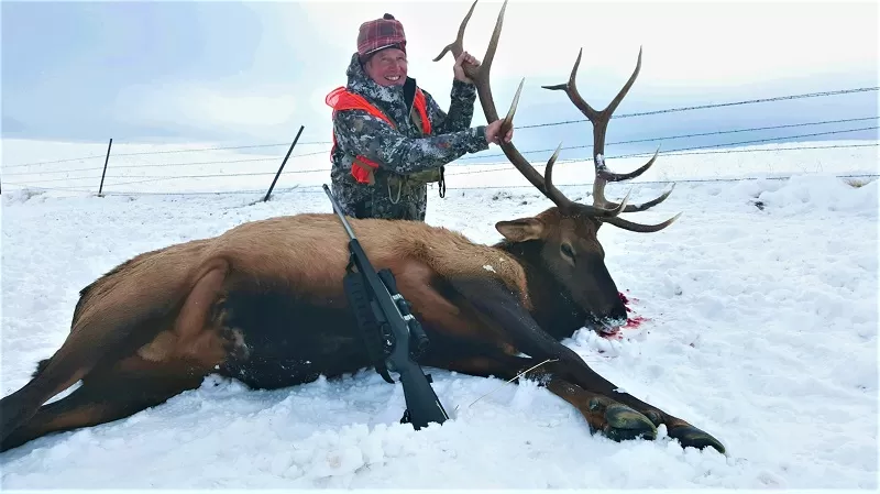 Montana Elk Hunts