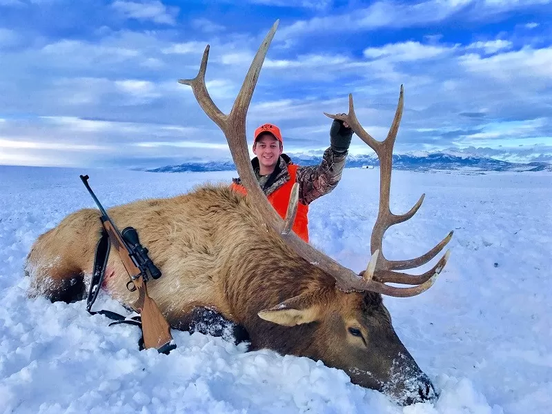 Montana Elk Hunting