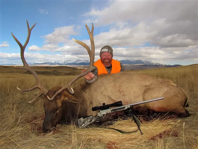 Elk Hunting Trips