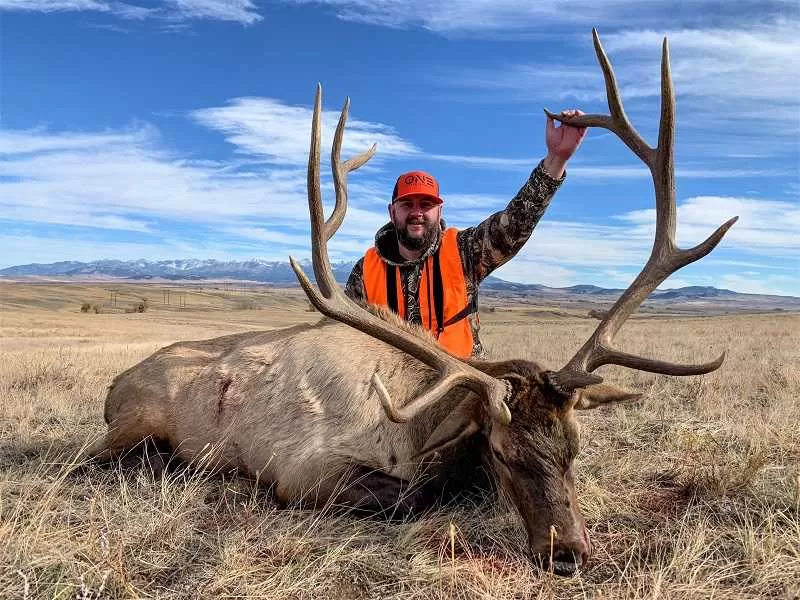 Montana Elk Hunting photos
