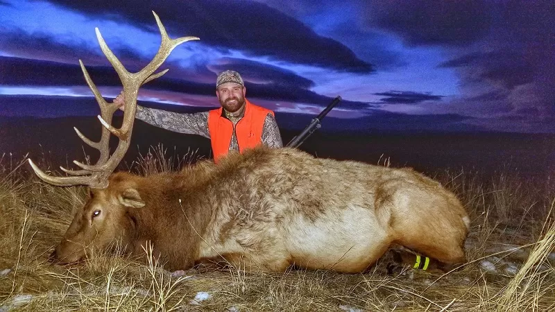 Trophy Elk Hunting