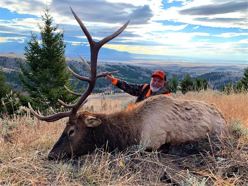 Montana Elk Season