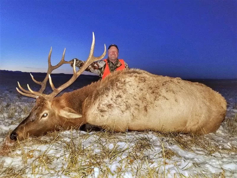 Rifle Elk Hunts