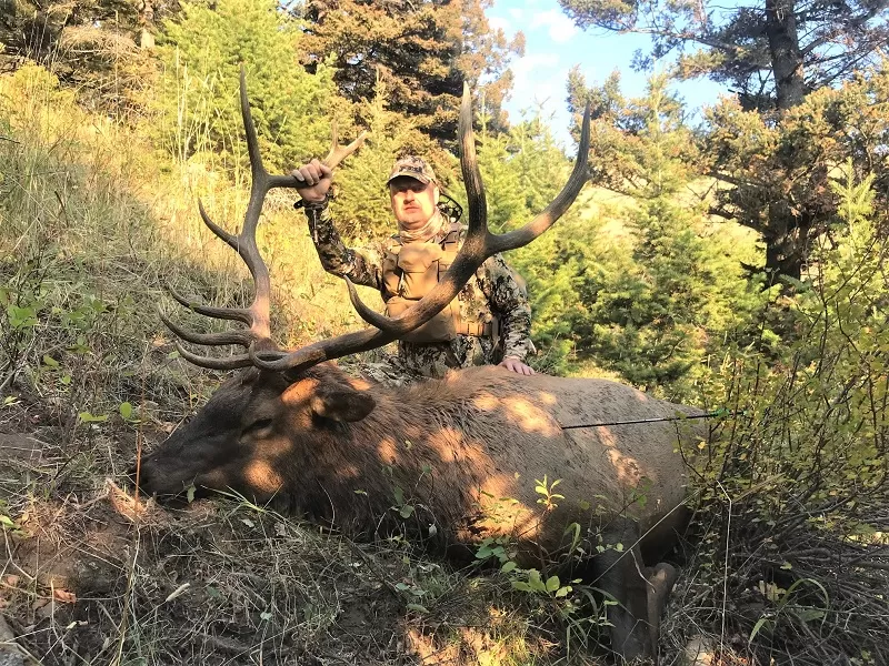 Bowhunting Elk