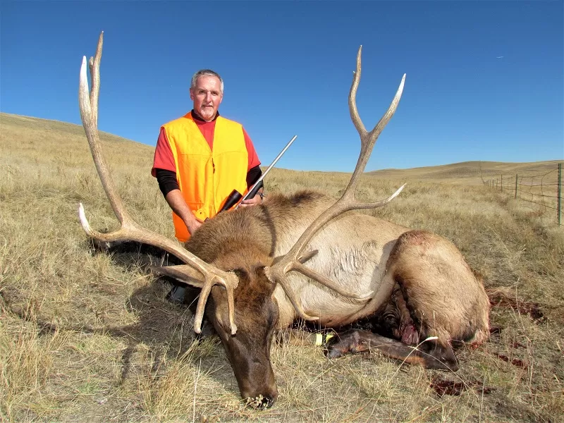 Elk Hunts in MT