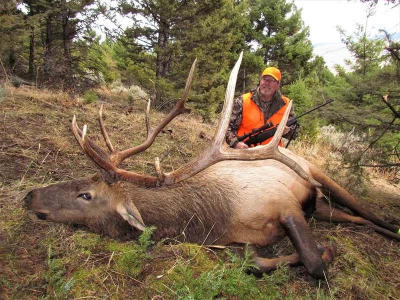 Montana Elk Hunts