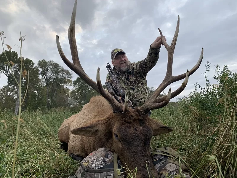 Bowhunting Elk