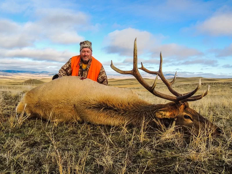 Hunt Elk In MT
