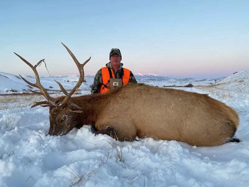 Montana Elk Hunt