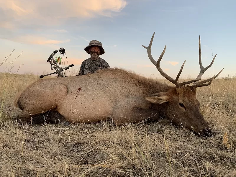 Archery Hunting Elk
