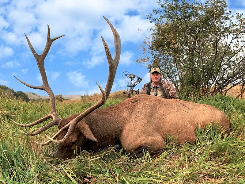 Bowhunting Elk