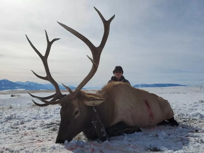 Rifle Elk Hunting