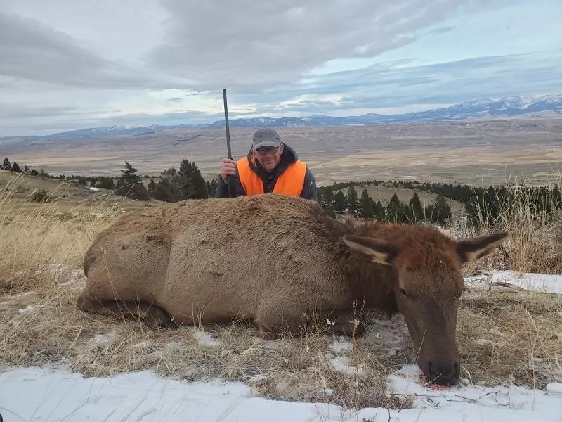 Cow Elk Hunt