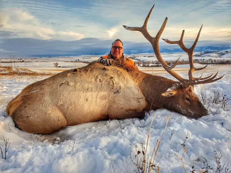 Elk Hunt In MT