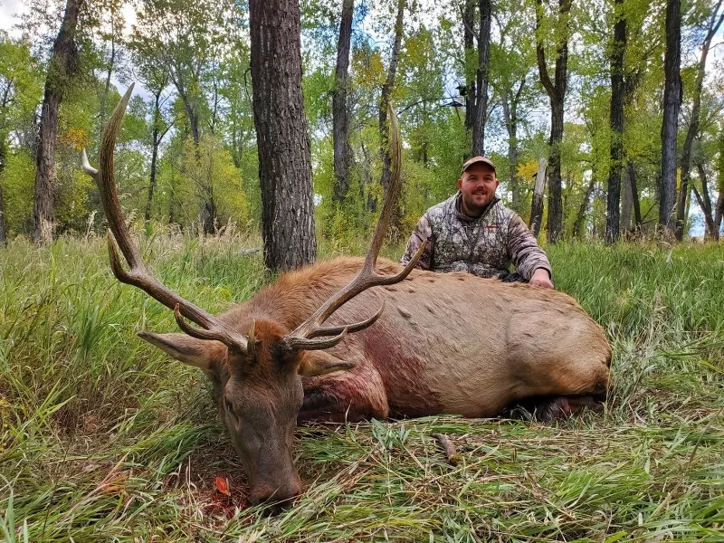 Elk Bow Hunts