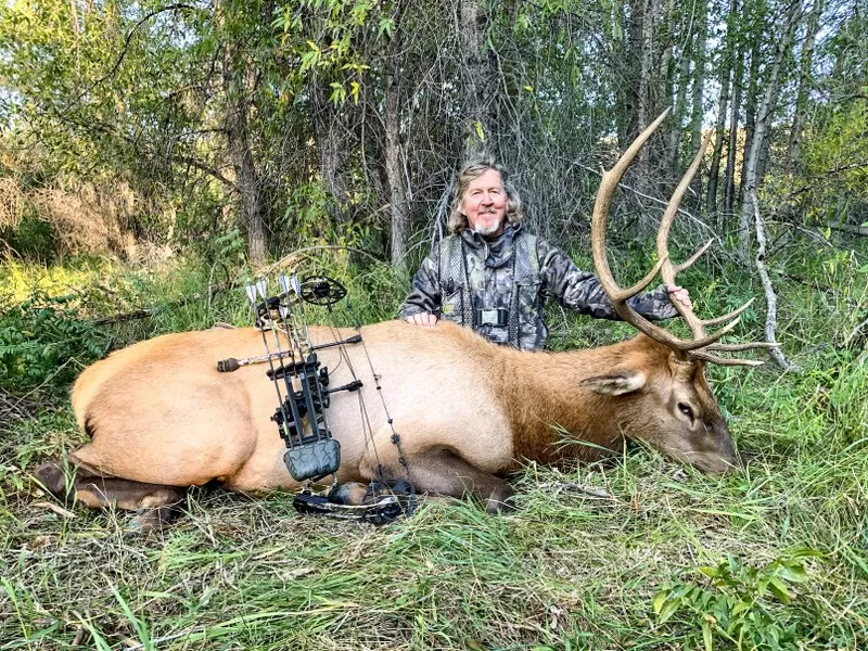 Guided elk hunts