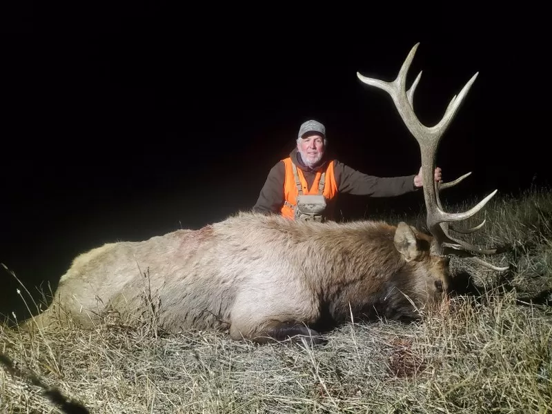 Bull Elk Hunts