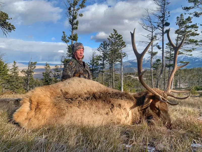 Guided Elk Hunts