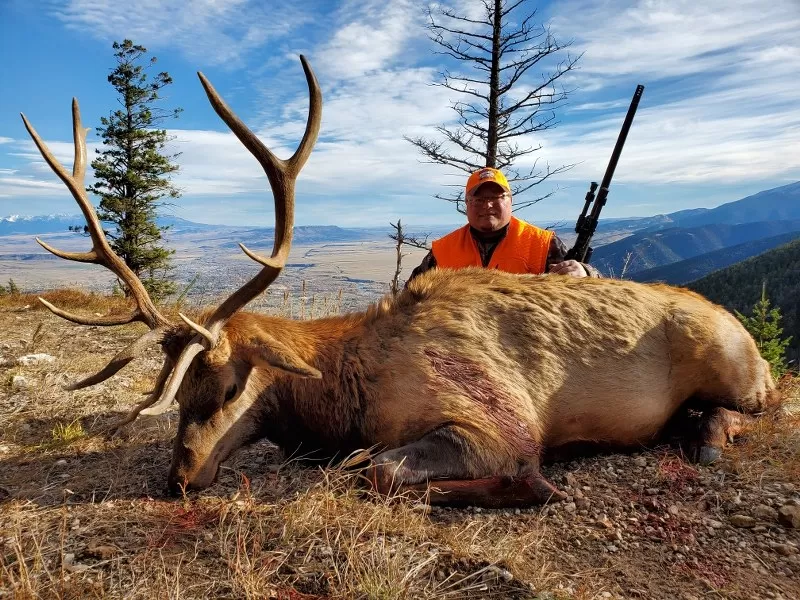 Elk Hunting