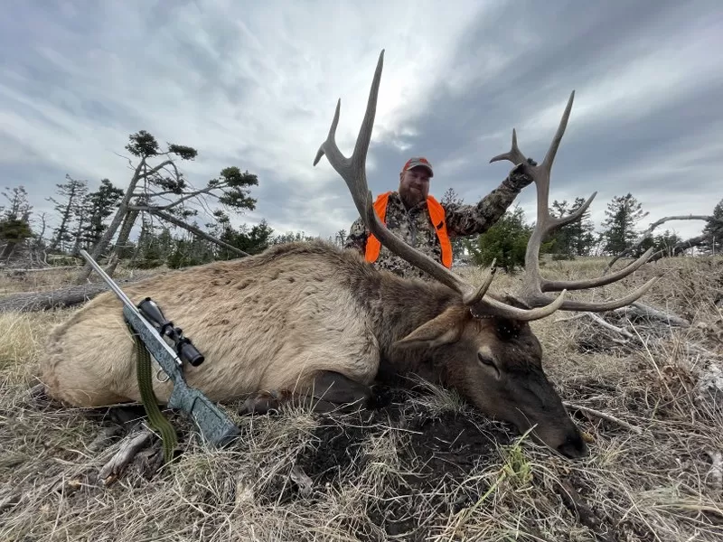 Montana Hunting