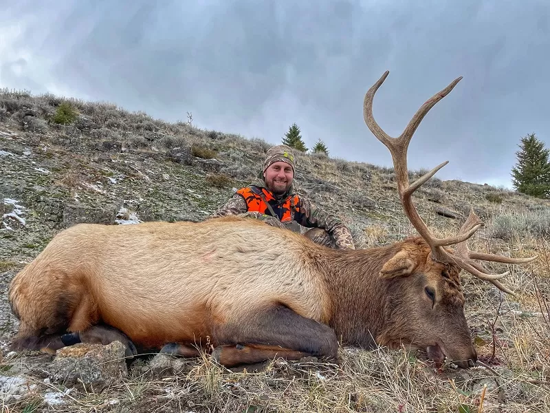 Guided elk Hunting