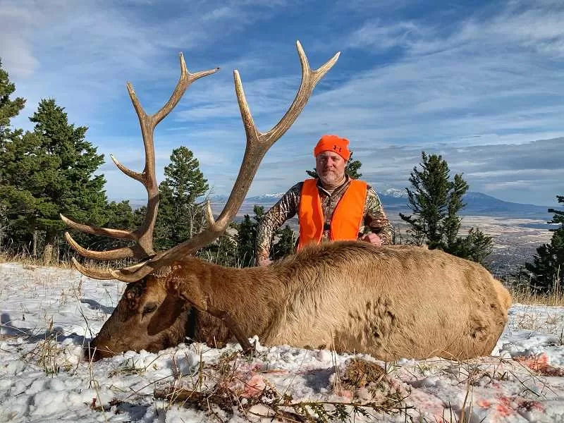 Montana elk hunts