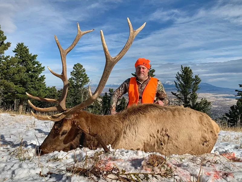 Montana Whitetails hunts