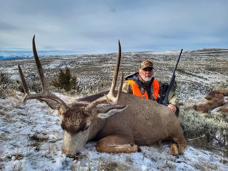 Montana Whitetails hunts