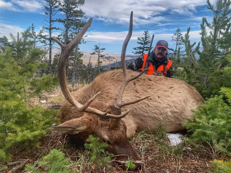 Montana Whitetails hunts